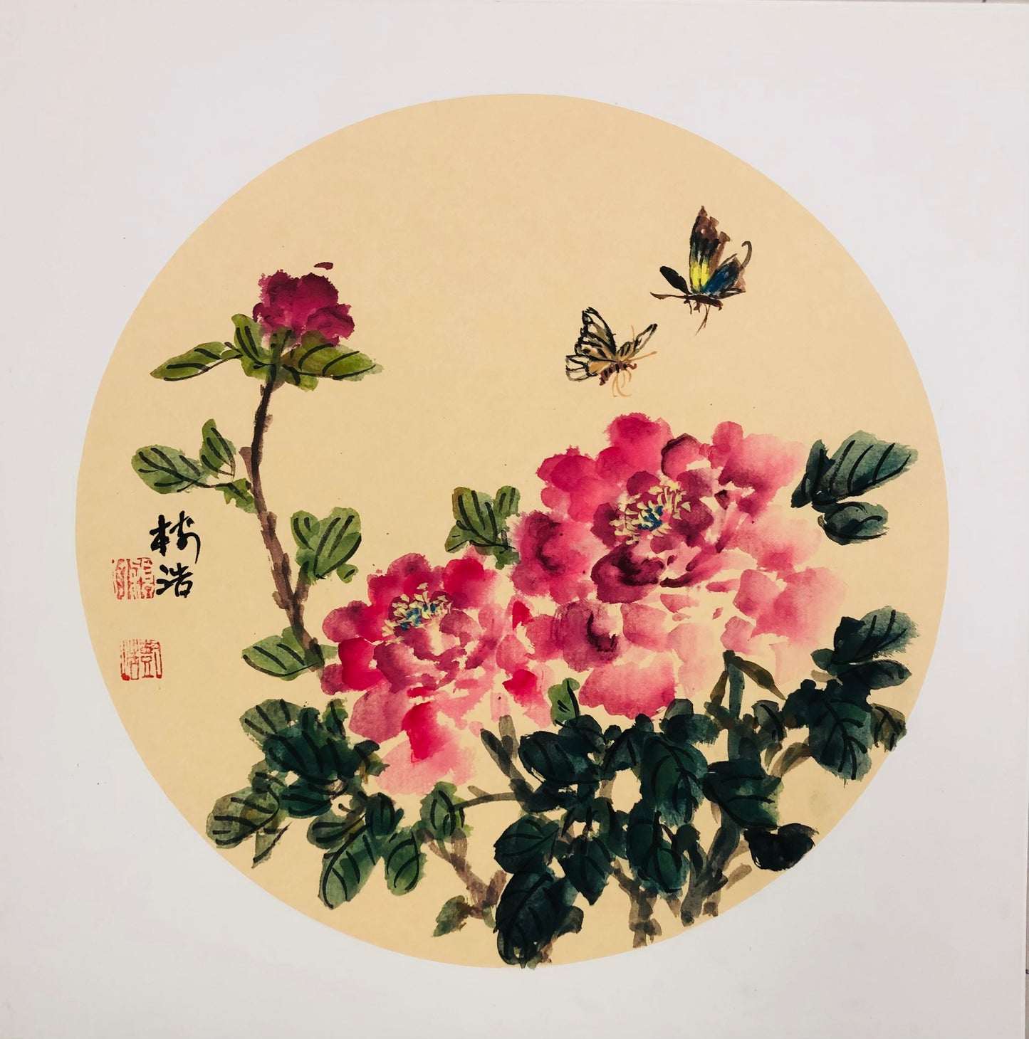 Delicate Traditional Chinese Xieyi Painting of Peony (50x50cm)